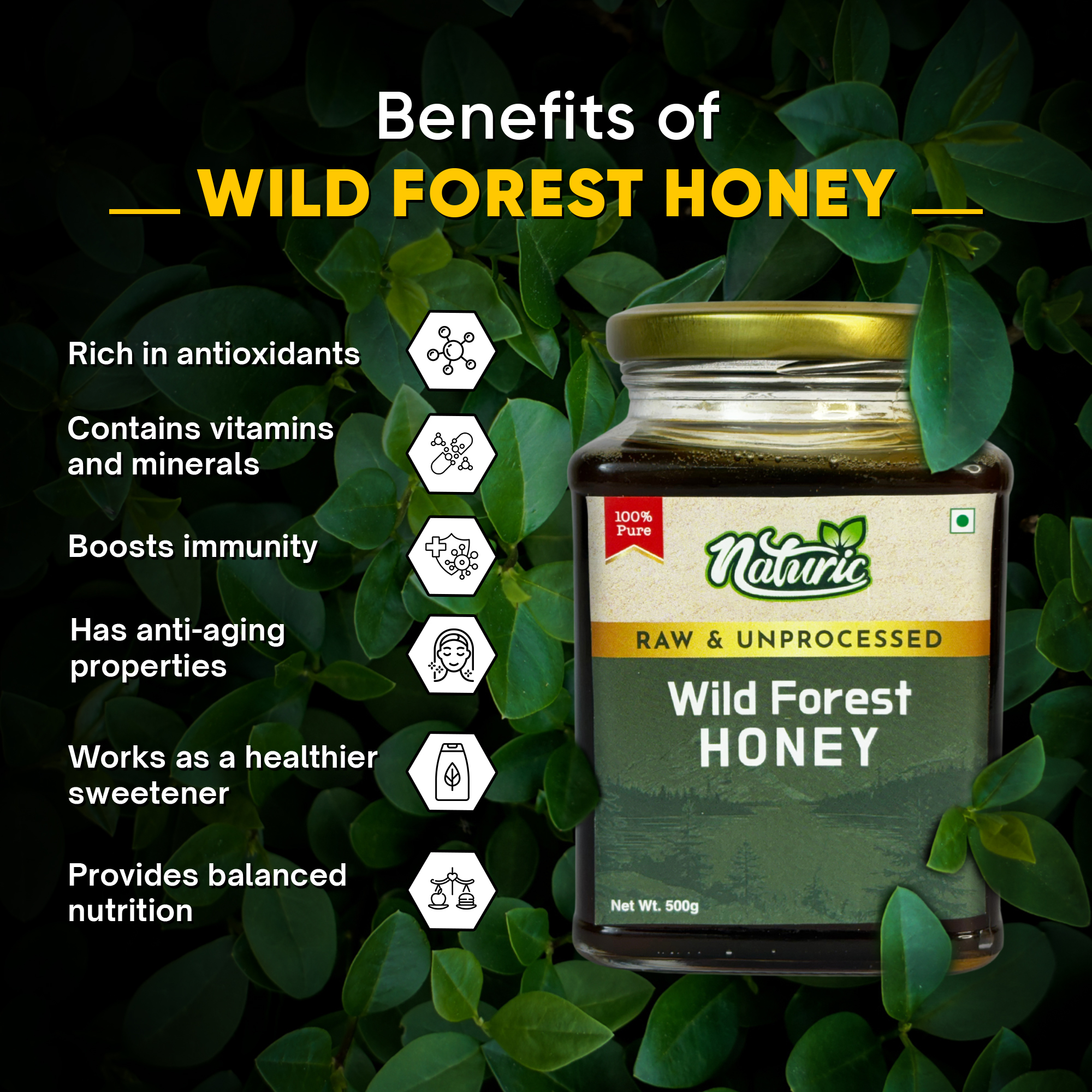 Organic Wild forest honey - Image 3